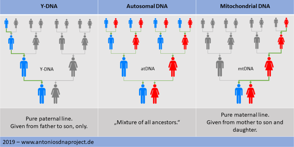 dna types PNG