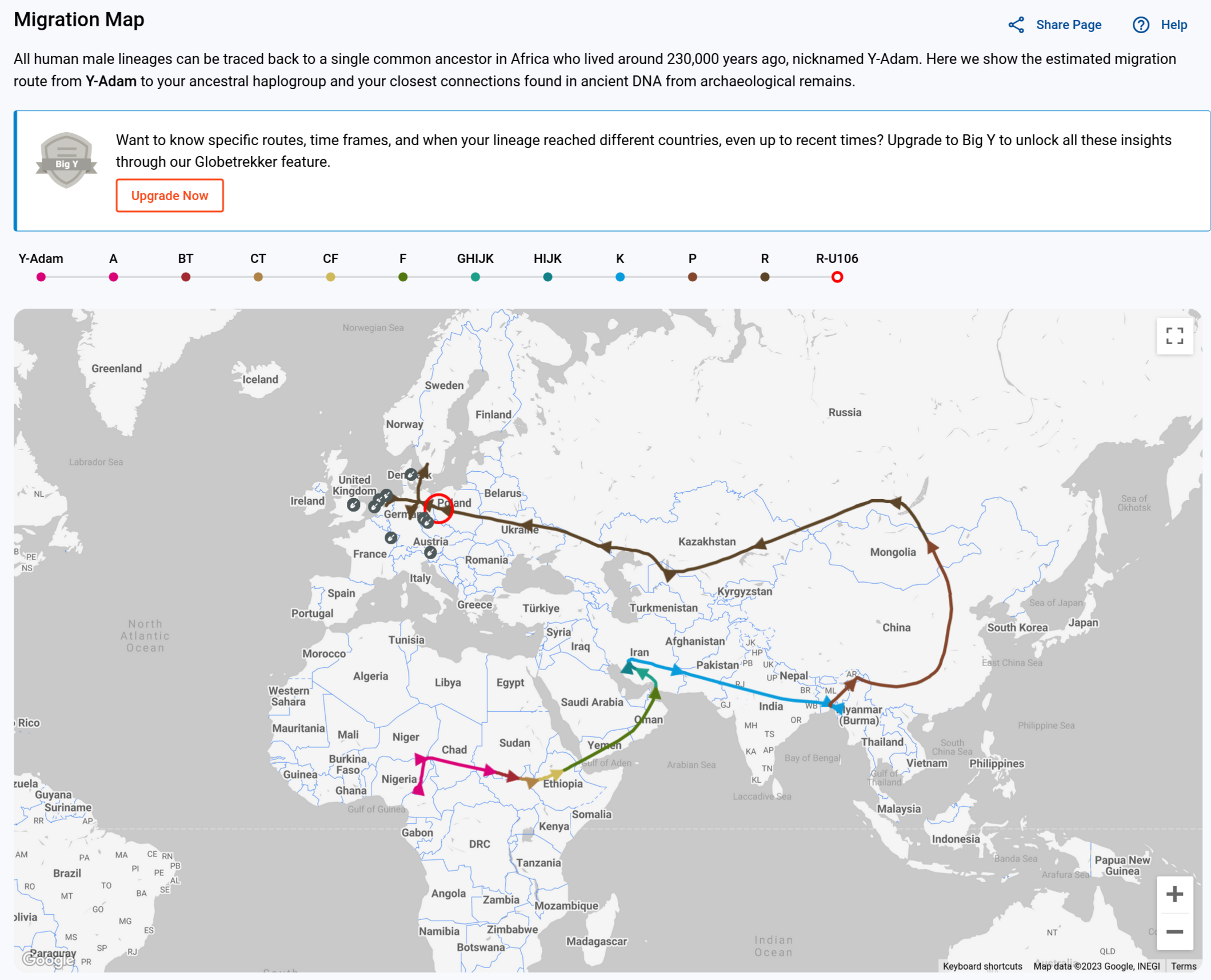 familytreedna migration path PNG