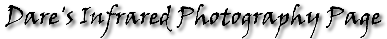 PNG Photo Page Logo