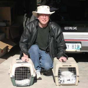 JPG Cats
                in cages with me in Morden driveway
